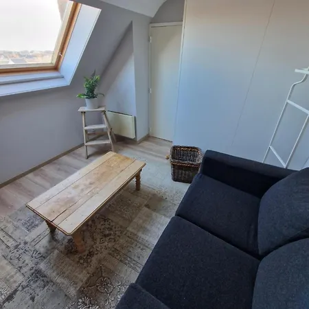 Apartment Very Large Duplex 4-bedroom Less Than 5 Minutes From The Sea! T46 Ostend